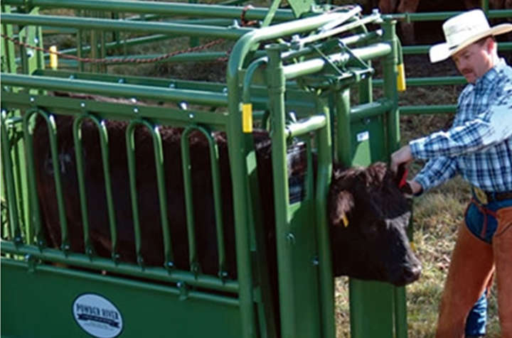 Tarter equipment cattle chute
